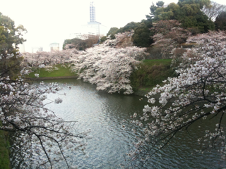image-20100491225114.png