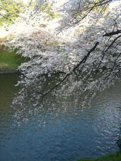 image-20100491225853.png